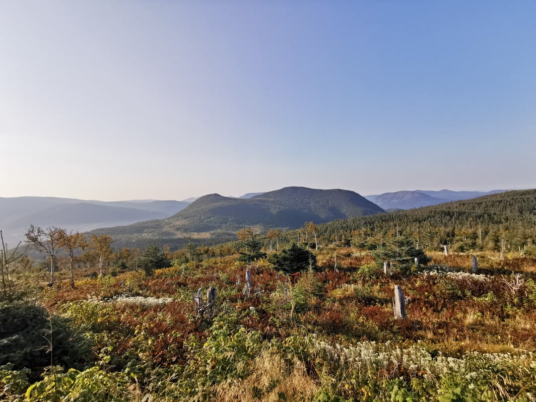Parc national de la Gaspésie